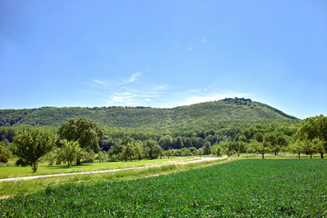 Breitenstein