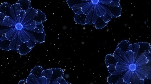 Beautiful Flower Background. Blue Particles with Shimming Stars. Loop