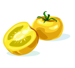 yellow tomato vegetable food symbol isolated on white background