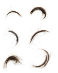 Hair bundle isolated on white background. collage tuft hair close-up