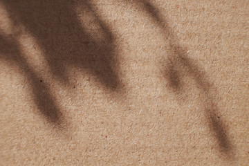 Old Paper texture vintage background