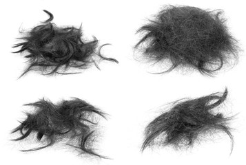 Fototapeta premium Hair bundle isolated on white background. collage tuft hair close-up