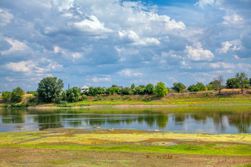 scenery at the riverside in the springtime