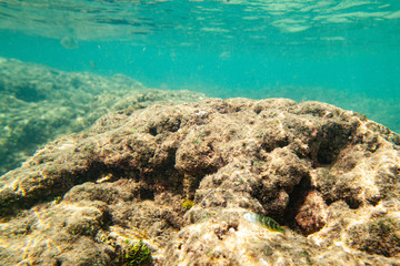 Ocean seabed with stones and sand.