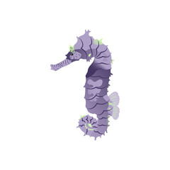 Little Seahorse Illustration