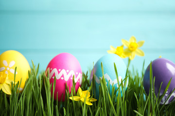 Colorful Easter eggs and narcissus flowers in green grass against light blue background
