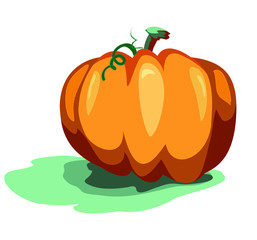 halloween pumpkin orange on white background with shadow