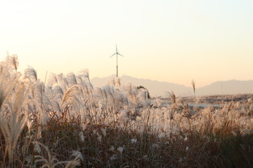 석양, sky, 바람, 기운, 경관, 전기, 일출, 파워, 터빈, 풍차, 네이처, 들판,...