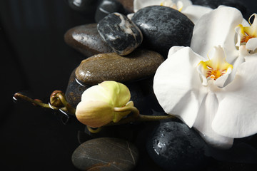 Obraz na płótnie Canvas Spa stones and orchid flowers in water on black background, closeup. Zen lifestyle