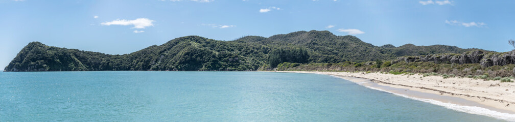 sand beach and green coast at Totaranui bay near Kaiteriteri, Abel Tasman park, New Zealand