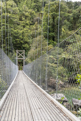 suspended bridge at Bark bay estuary with rain forest thick lush vegetation on shore, near Kaiteriteri, Abel Tasman park, New Zealand