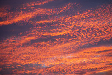 Fototapeta premium 色濃く焼ける東雲