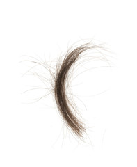 Hair bundle isolated on white background. tuft hair close-up