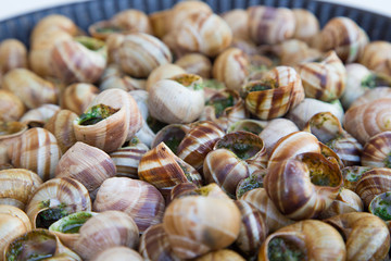 Escargots