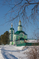 Budding willow, branches against the background of an Orthodox Church and the blue sky in the sun.