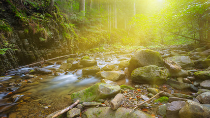 river rushing through mountain canyon, mountain river in asparkle sunlight