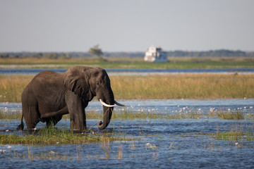 Housboat with a view