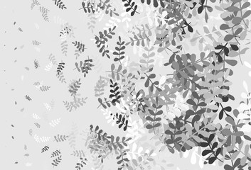 Light Gray vector abstract backdrop with leaves.