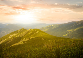 Fototapeta premium green mountain valley at the dramatic sunset, outdoor natural background