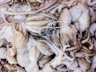 Fresh seafood is on sale in the market