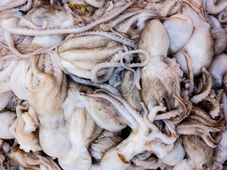 Fresh seafood is on sale in the market