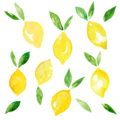Watercolor illustration of citrus set. Yellow lemons with leaves. - 332108691