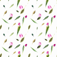 Seamless pattern with tulips and leaves on white background. Watercolor illustration