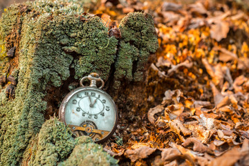 Antique decayed pocket watch in nature with dry leaves and green moss