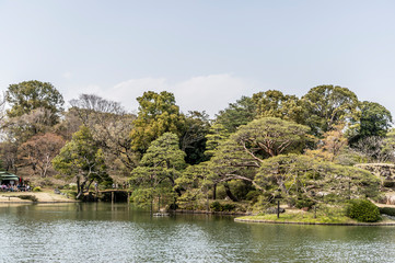 Fototapeta na wymiar 東京都文京区駒込の日本庭園の風景