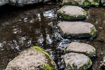 Fototapeta na wymiar 東京都文京区駒込の日本庭園の池を渡るための石