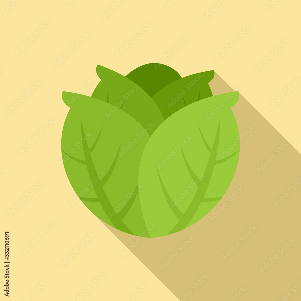 Poster diet cabbage icon. flat illustration of diet cabbage vector icon for web design