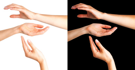 Set of women hands taking or showing something