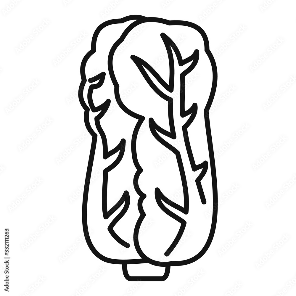 Aufkleber chinese cabbage icon. outline chinese cabbage vector icon for web design isolated on white backgroun