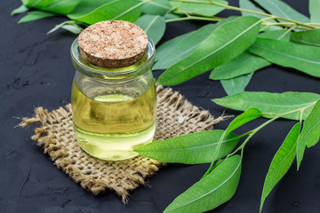 Eucalyptus essential oil © Maderla