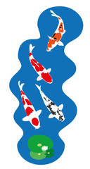 Koi fish vector illustration