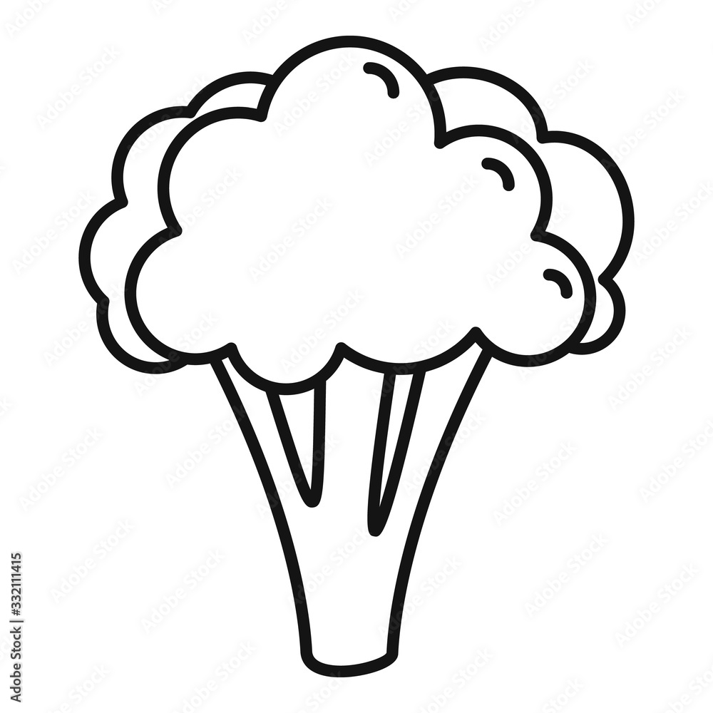 Poster broccoli cabbage icon. outline broccoli cabbage vector icon for web design isolated on white backgro