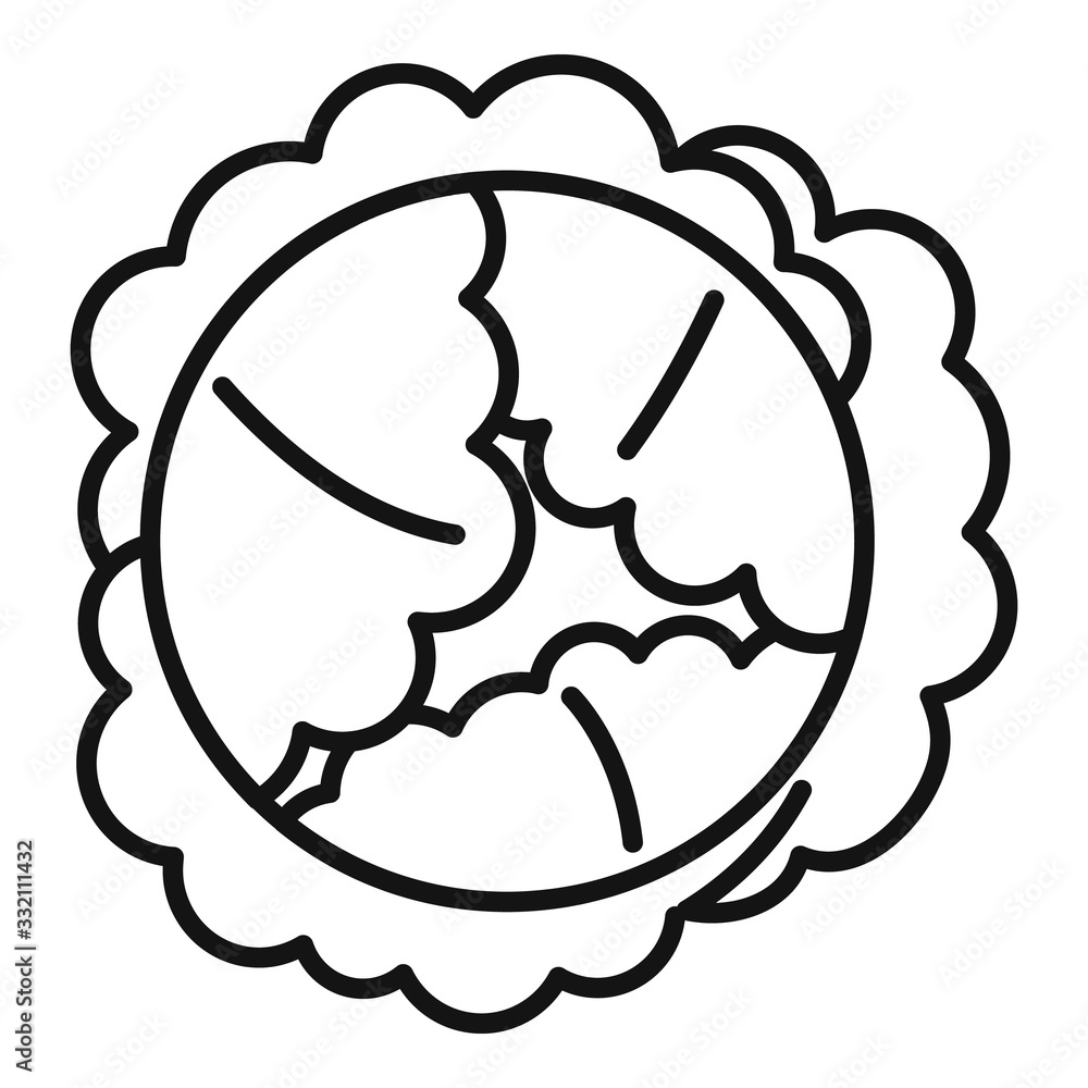 Poster food cabbage icon. outline food cabbage vector icon for web design isolated on white background