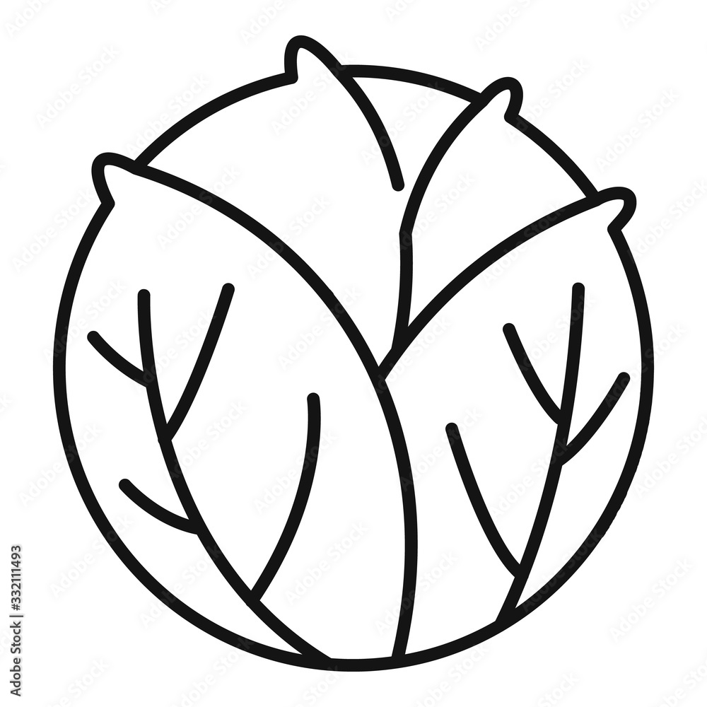 Poster cooking cabbage icon. outline cooking cabbage vector icon for web design isolated on white backgroun