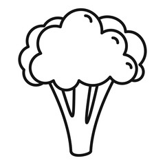 Broccoli cabbage icon. Outline broccoli cabbage vector icon for web design isolated on white background
