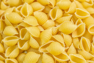 Background Of Are Plane Of Shell Pasta Raw Texture 
