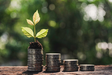 Saving money concept with money coin stack. Financial and accounting concept.