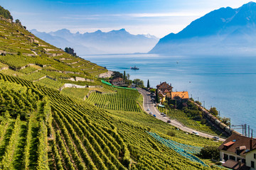Vignoble en terrasses de Lavaux, classé au patrimoine mondial de l'UNESCO, entre lac et montagnes