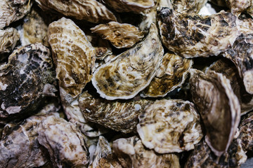 closed oysters, fresh oyster shell, mollusks in seafood market, sea restaurant, expensive fresh...