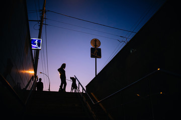 woman and dog standing by street signs outdoors at night