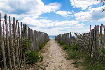 Fototapeta premium Vue sur la plage et les dunes sauvages de Carnon-Plage (Occitanie, Hérault)