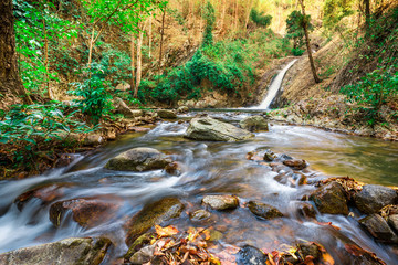 Fototapeta na wymiar waterfall in the natural forest. at National Park Chae Son, Lampang .On the high mountains of northern Thailand