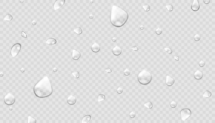 Water rain drops or steam shower isolated on transparent background. Realistic pure droplets condensed. Vector clear vapor water bubbles on window glass surface for your design.
