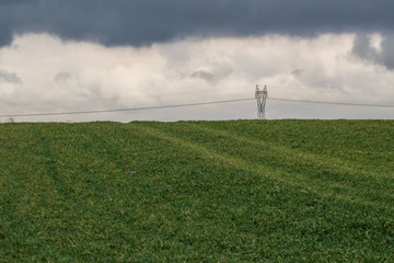 Fototapeta na wymiar Green grass meadow, agricultural field, cloudy weather, electricity pylons in the back, natural background