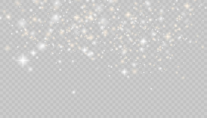 Vector sparkles on a transparent background. Christmas abstract pattern. Sparkling magical dust particles.