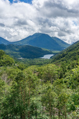 Fototapeta na wymiar Mountain lake and forest summer nature background